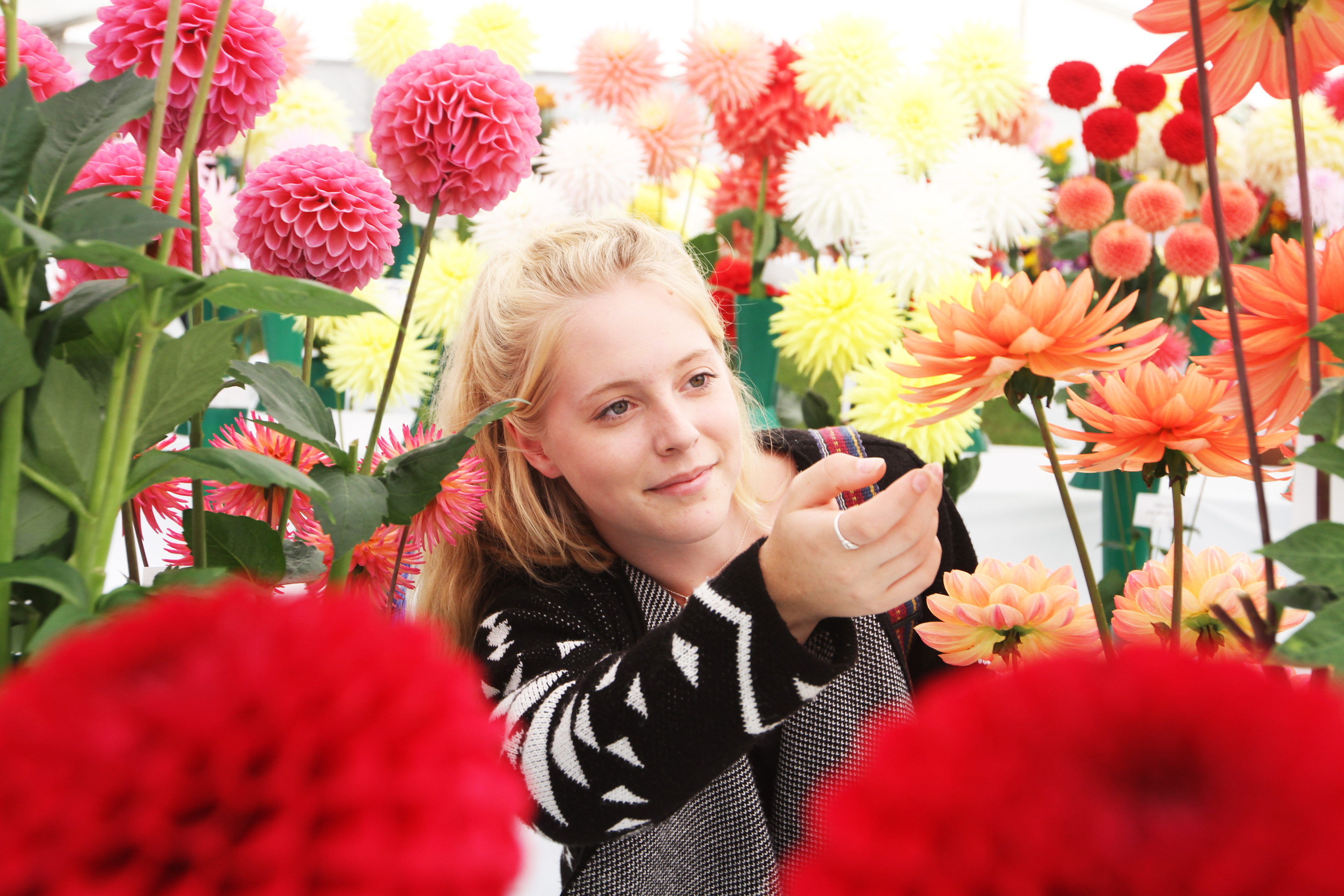 Fiona Hearn, 18, looks at the dahlias at the Flower and Food Festival.