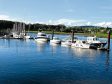 Supplied pic taken by Angus Whitson for his column. A marina in Kircudbright seen from from his cottage in the afternoon sun.