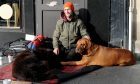 Homeless man John Hunter and his pet dogs.