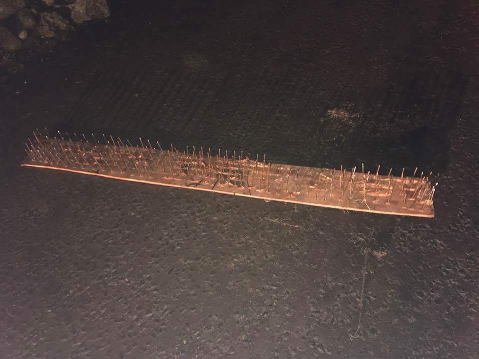 The piece of wood was left in the middle of the road on Friday night