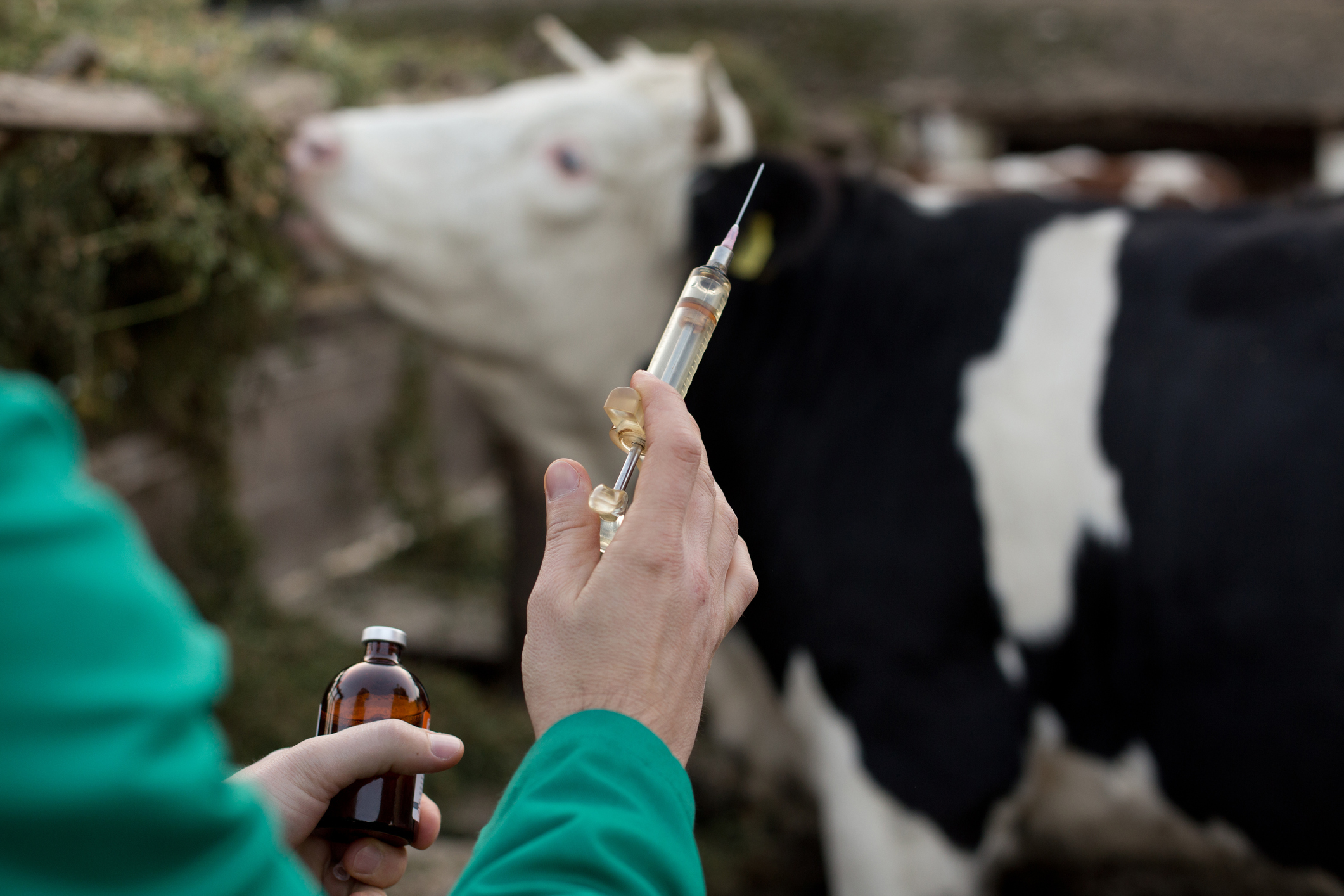 Chief Veterinary Officer Sheila Voas said there were many actions farmers and vets could consider to reduce the use of antibiotics in livestock.