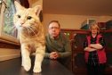 Flatfield Cattery owners Paul and Liz Eddy with Candy.