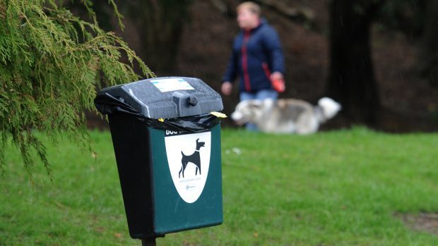 The initiative would also tackle dog fouling