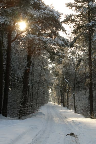 The drive into Ladybank Golf Club in December 2010.