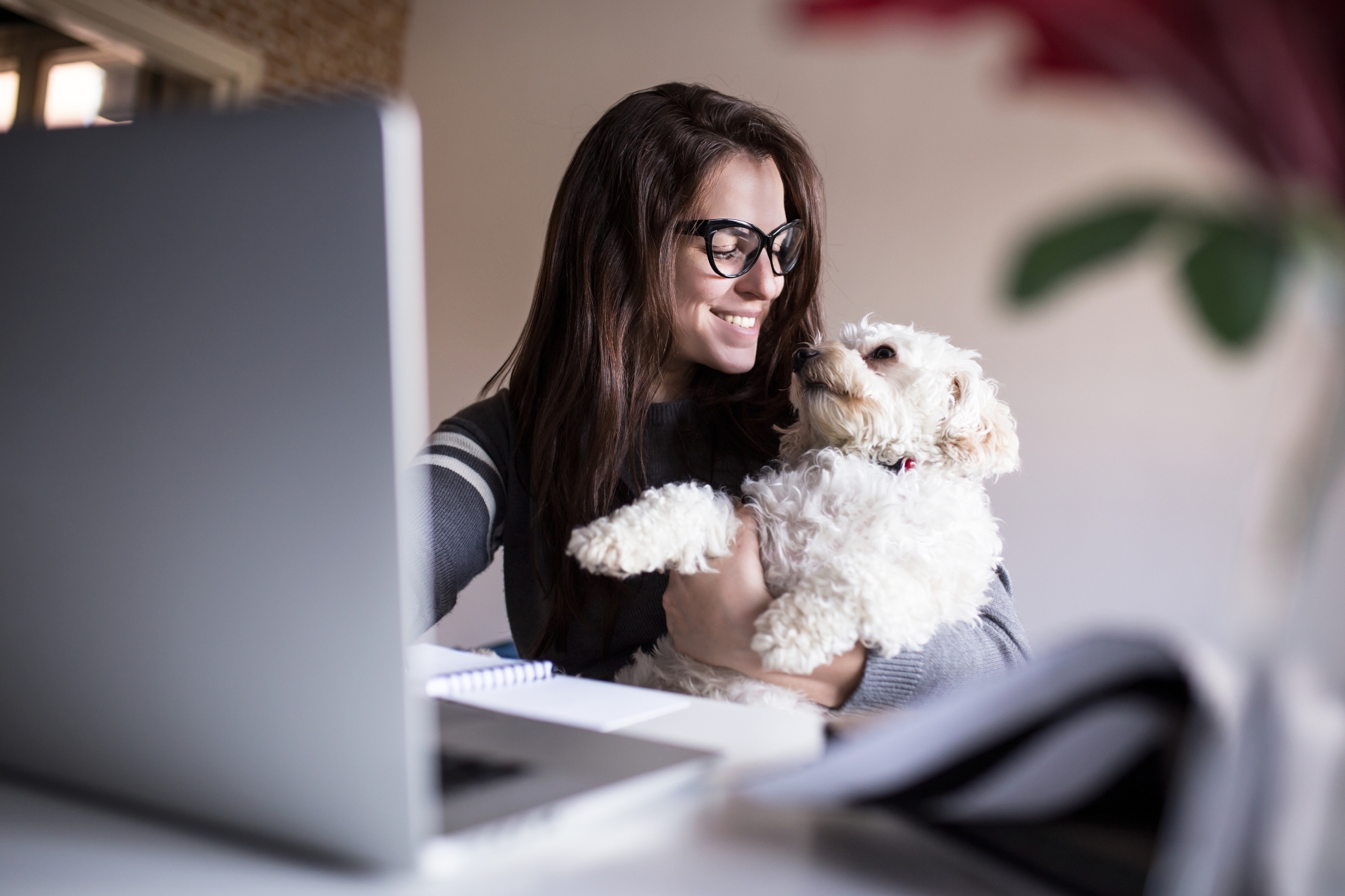 Many employees love bringing their pets to work.