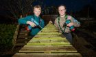 Fundraising Scout Ailsa Bennet upcycling old fence wood into Christmas Trees to raise money for trip South America, with brother Struan Bennet.