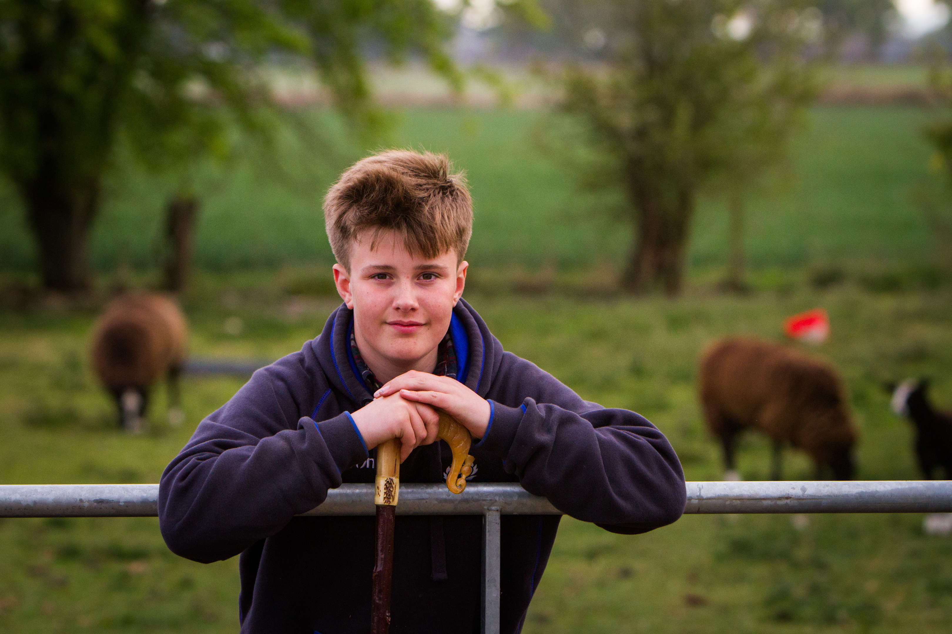 Young farmer Archie Downie with his pedigree flock. Picture: Steve MacDougall.