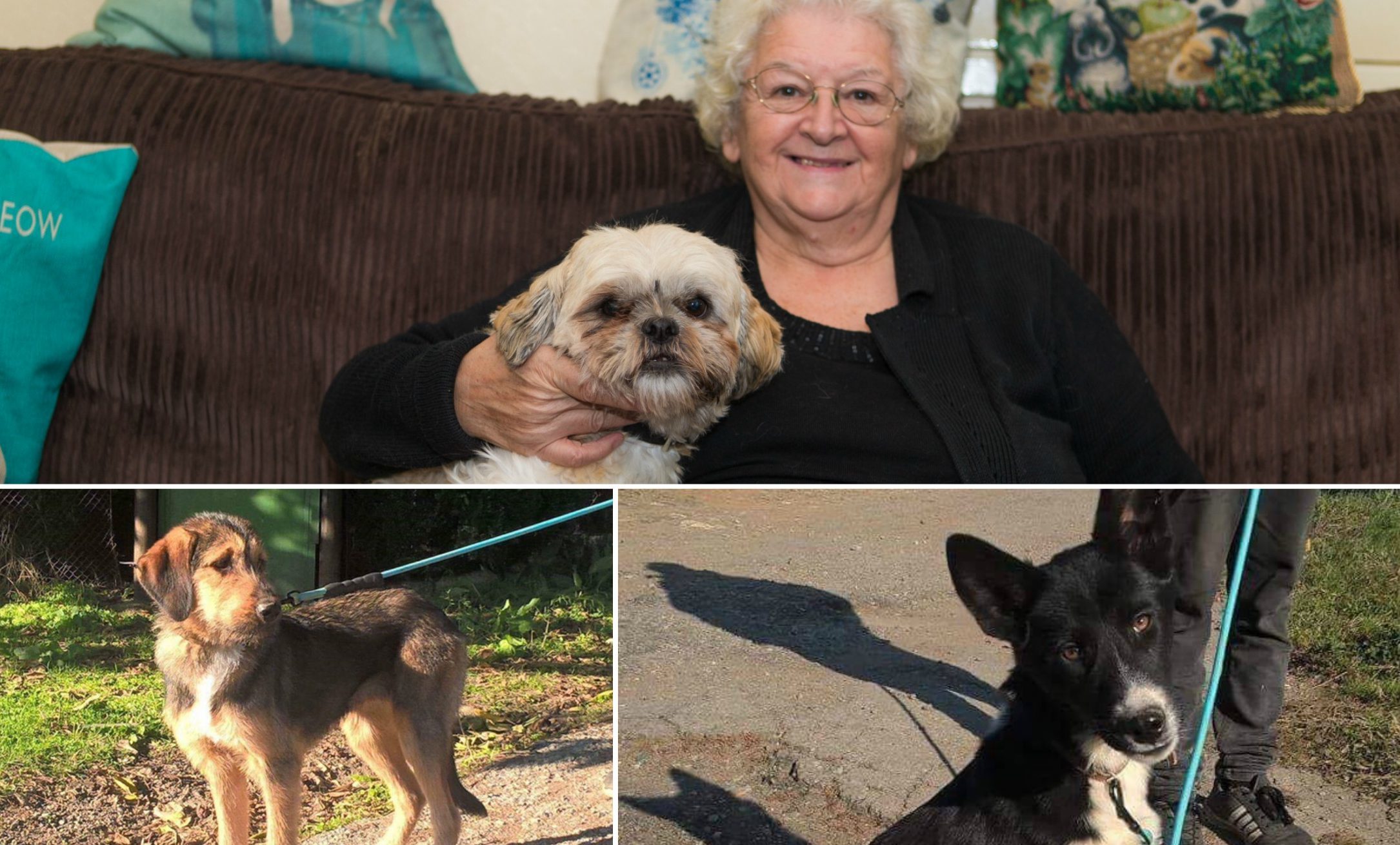 Anne-Marie Grant from Methil. Below: Lisl and Rosie the dogs.