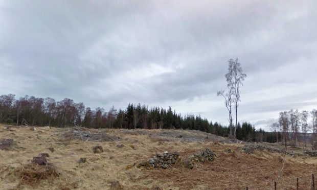 About 20 lost sheep were found in woods around Drumnakyle, Highland Perthshire.