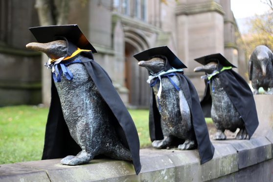 Dundee's penguins mark the arrival of winter graduation season in 2017