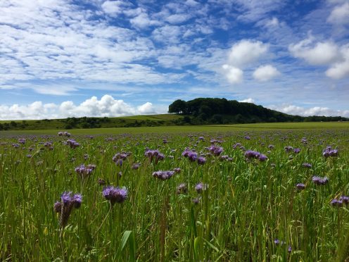 The view across surrounding countryside from the proposed site