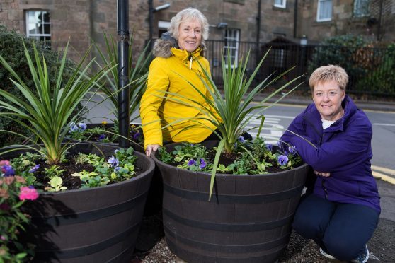 Carole Lang and Fiona Towns are appealing for volunteers