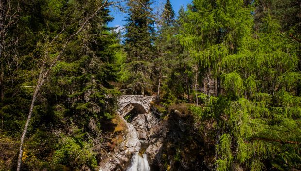 Falls of Bruar.