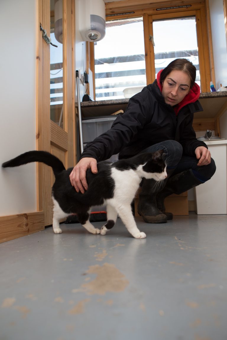 VIDEO "SOS" appeal for homes as Fife shelter warns it is running out