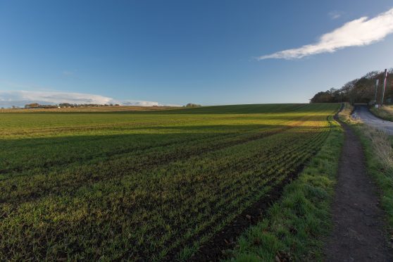 The proposed development site.