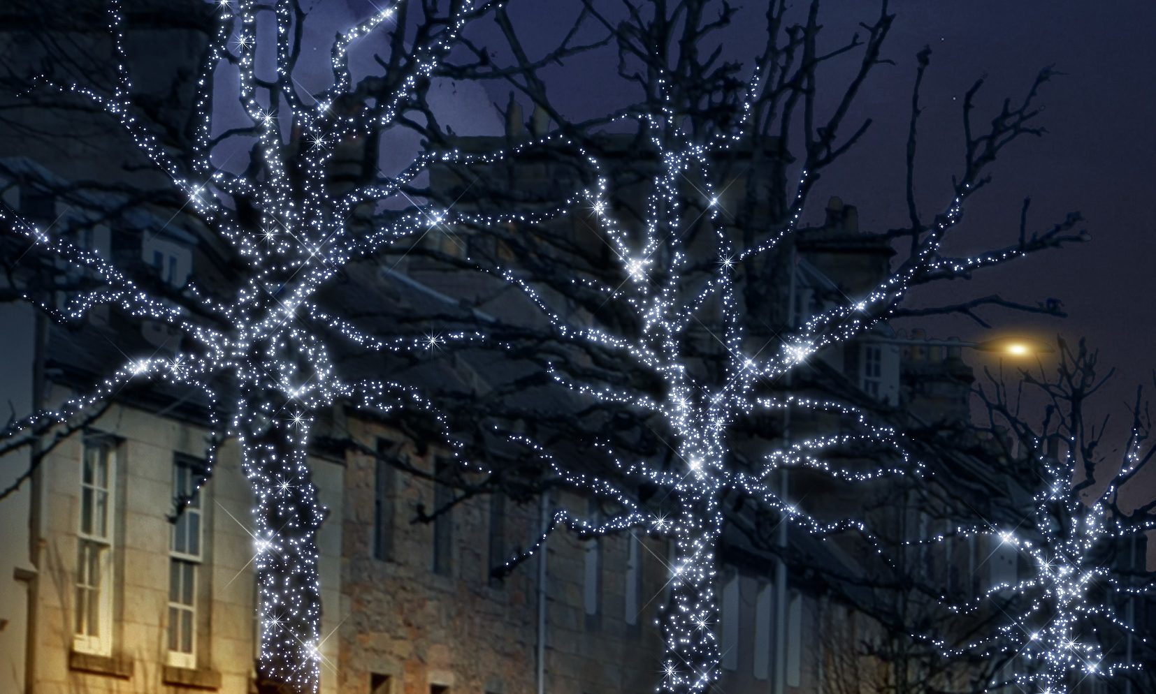 How trees in South Street will look as St Andrews is illuminated for the winter