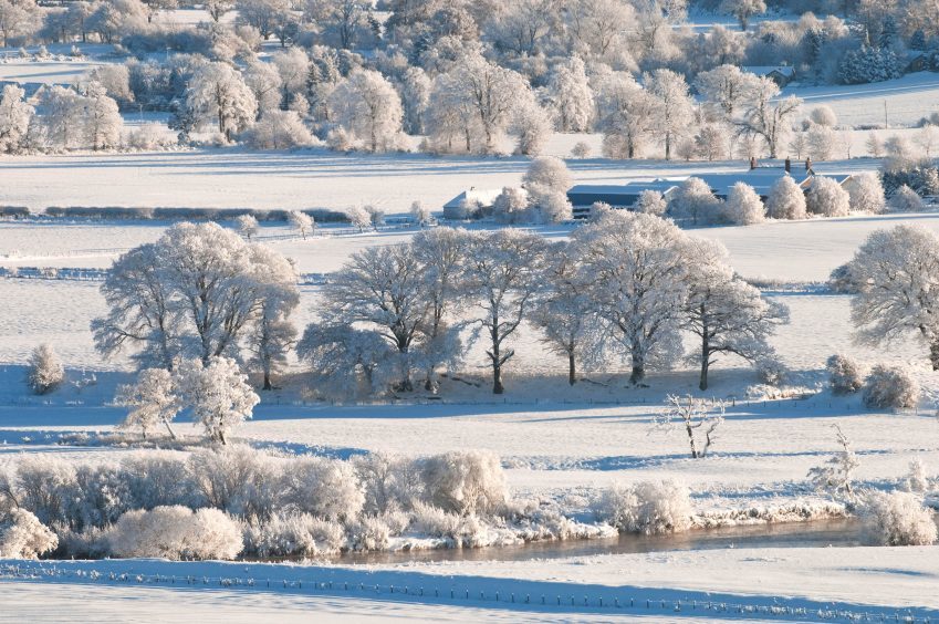 Courier country in the 2010 winter.