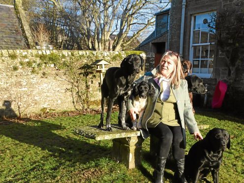 Supplied pic taken by Angus Whitson for his column. Carol Begg with some of her rescue gundogs.