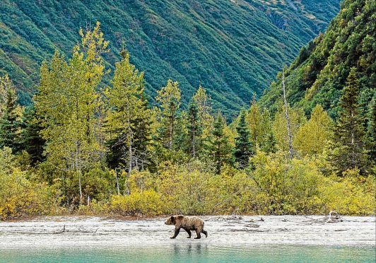 Alaska — an awe-inspiring place.