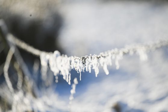 Ice forms on a fence as temperatures drop across the country.