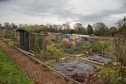 The allotment site in Kirkcaldy on the Dysart road, where allotment owners are upset at proposed rises in rents.