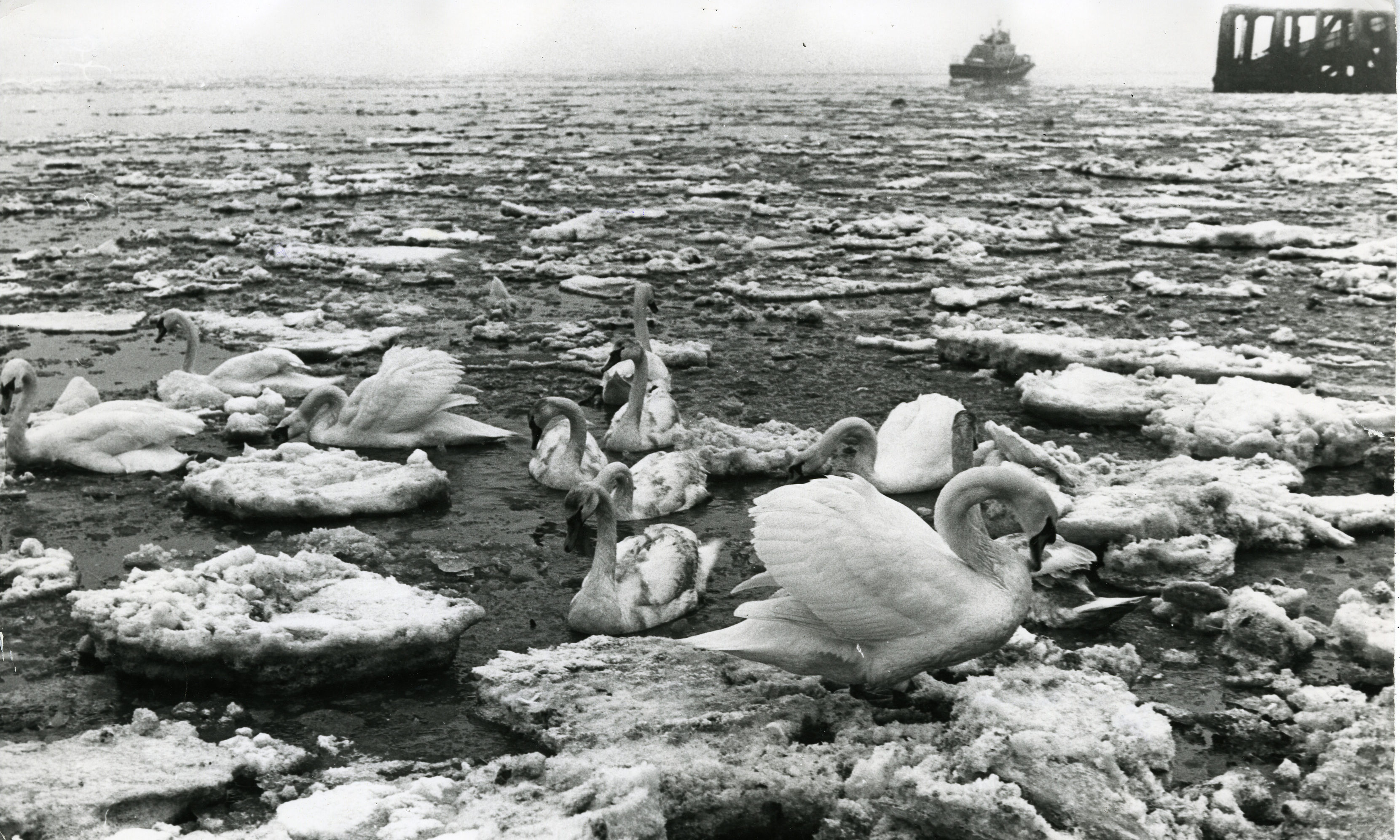 Children trapped in school, roads 'buried', airdrops and a Beast from the East: Tayside and Fife's most brutal winters - Vimarsana News