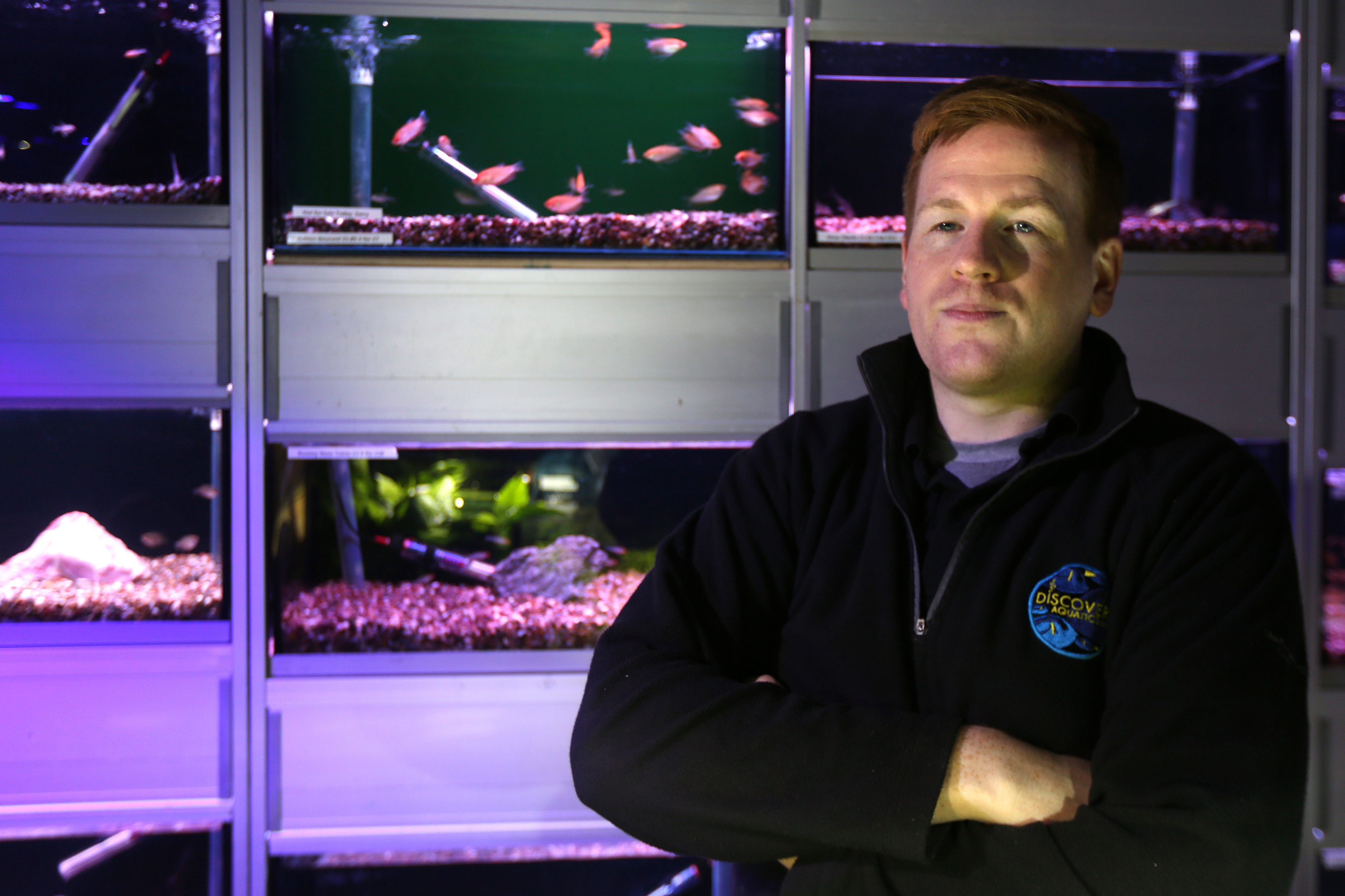 Kris Rennie with some of his fish tanks at Discovery Aquatics.
