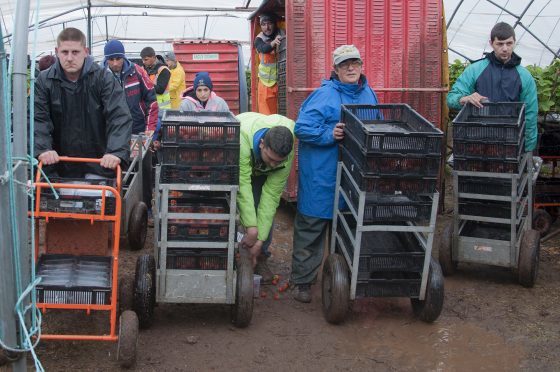 The number of EU nationals wanting to work in the UK's agricultural industry is declining