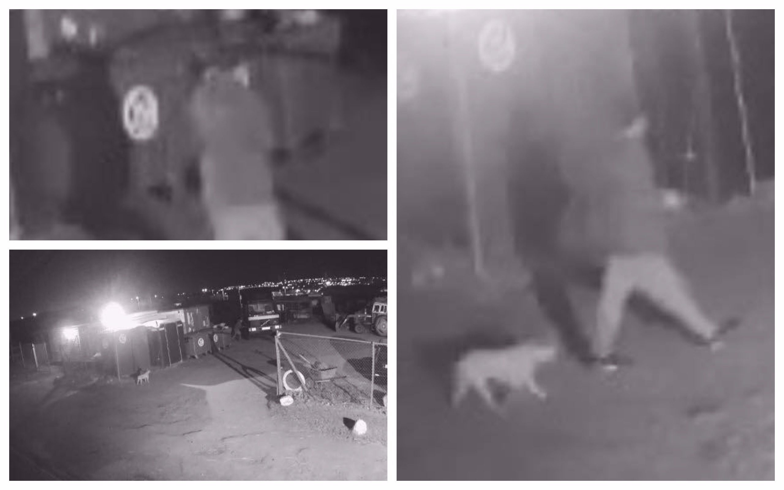 Stills from CCTV showing someone suspected of trying to release horses at Claverhouse Equestrian.