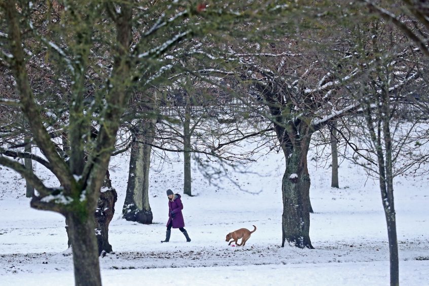 A women and her dog walking through a snowy Kelvingrove Park in Glasgow.