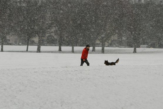 Snow on the South Inch in Perth.