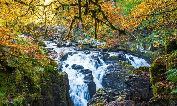 The Hermitage, Perthshire