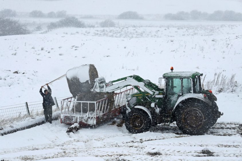 A farmer unwraps bails of hay in heavy snow, just off the A9 in Perthshire.
