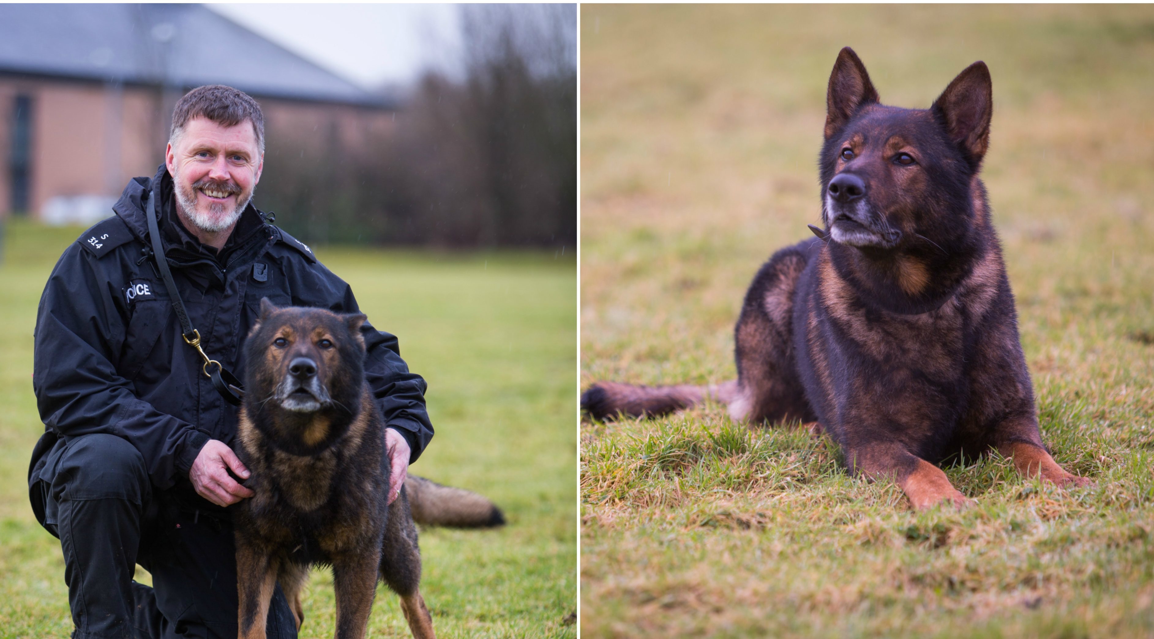 Axel the police dog with handler PC Craig Menzies