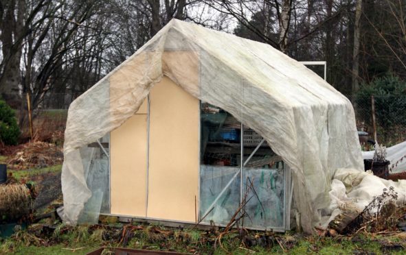 A greenhouse damaged in the latest bout of vandalism.