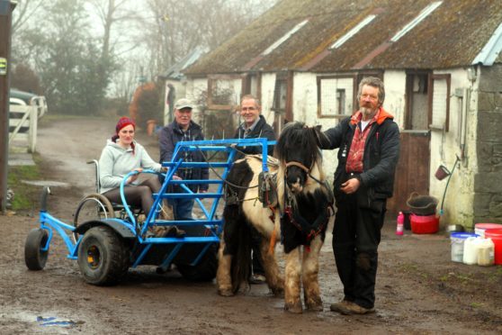 Simon Mulholland with his wheelchair chariot hooked up to his pony Obama, with Jessie Probst of Saddle Up Ranch sitting in the chariot watched by army veterans John Byrne Ray Wyatt.