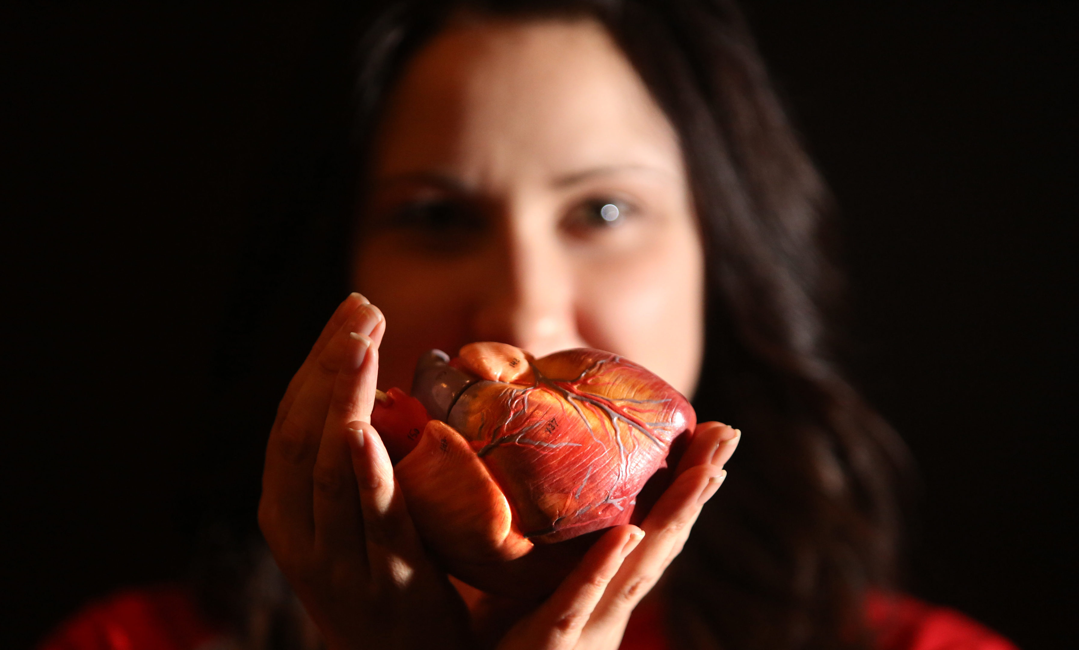 Claire Cunningham, a mortuary technician at Dundee University with a model of a heart.