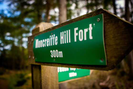 Moncreiffe Hill and its woods offer stunning views and fantastic walks but have been blighted by out-of-control dogs and irresponsible owners.