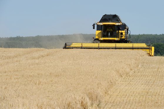 There was a 10% increase in the barley harvest last year and prices rose from £67m to £253m.