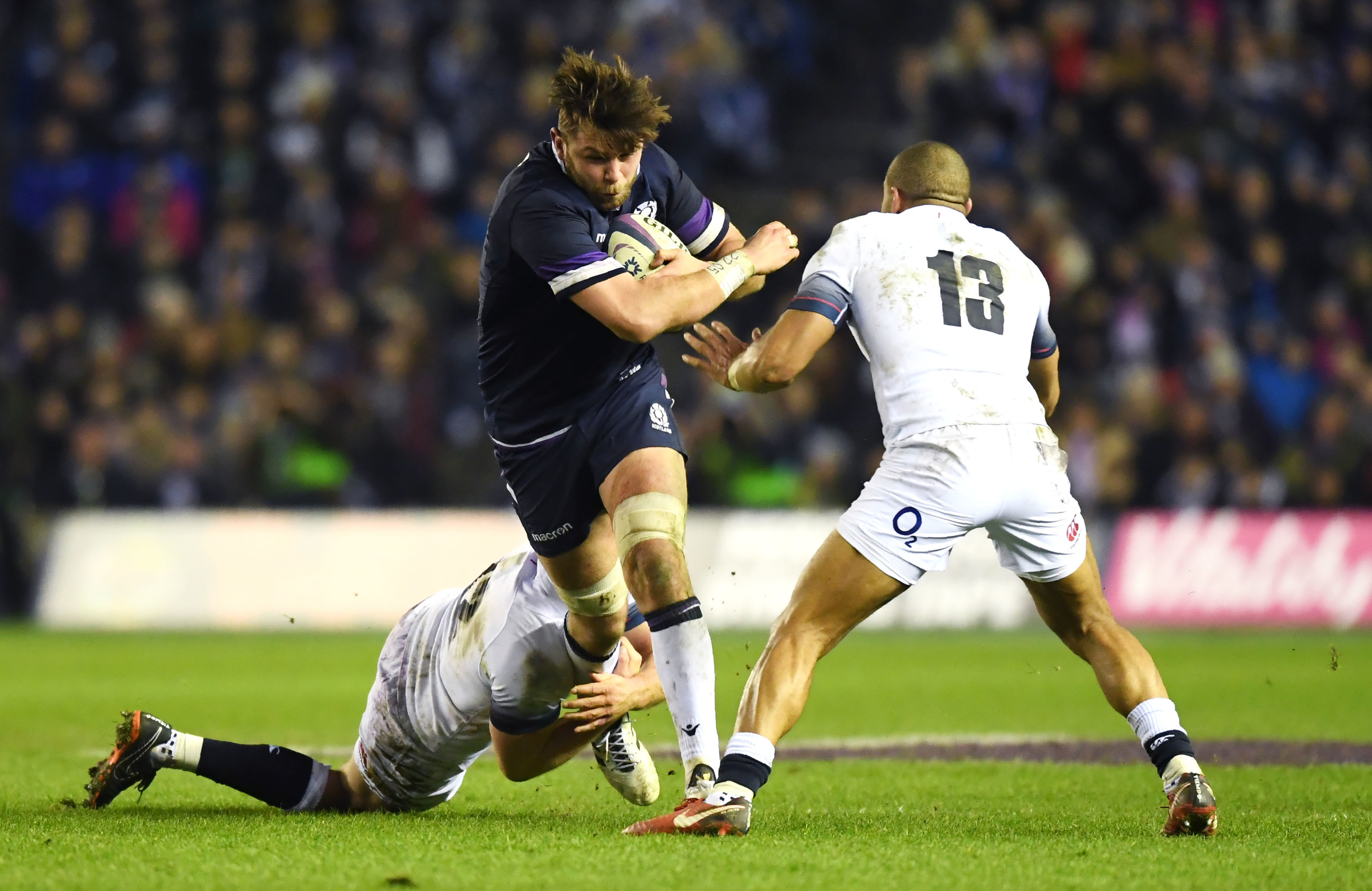 Ryan Wilson is free to play for Scotland against Ireland next week.