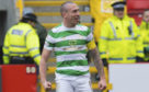 Scott Brown in defiant mood at Pittodrie.