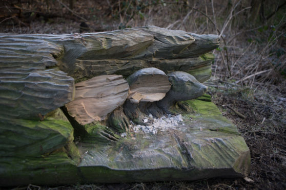 Damage to the Badger Sculpture in Rabbit Braes, Kirkcaldy.