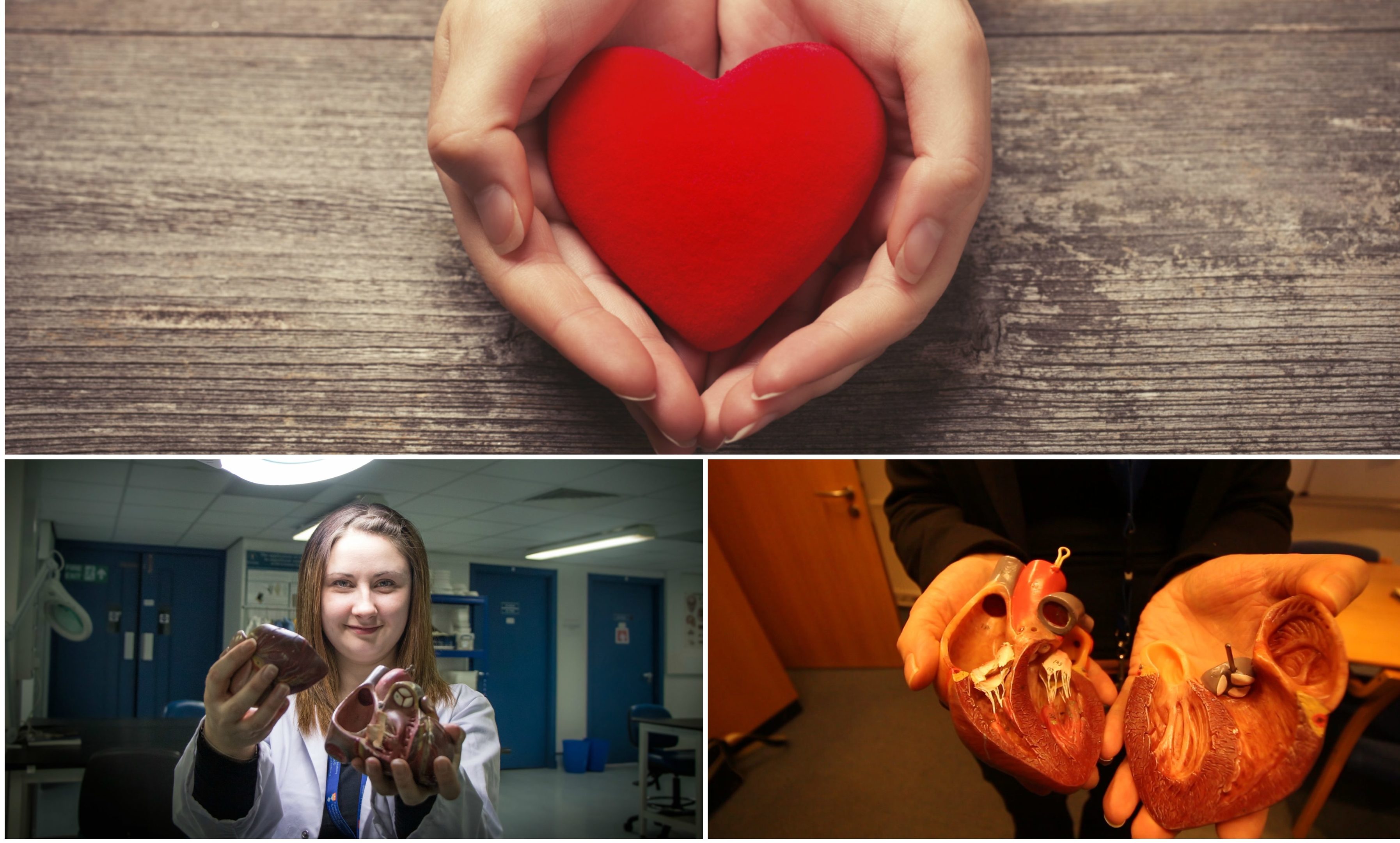 Mortuary technician Claire Cunningham and photos of a love heart/a model of the human heart