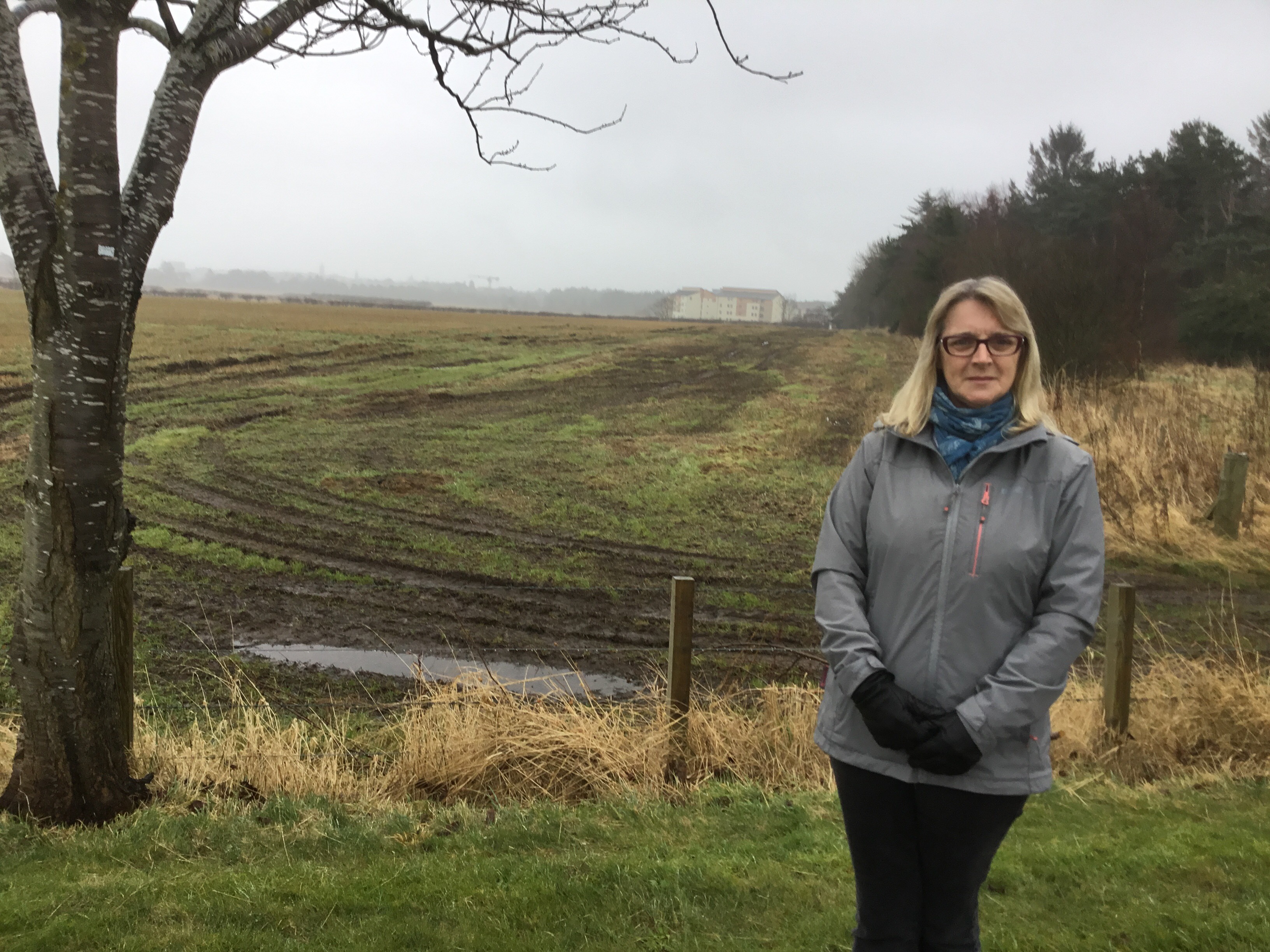 Cllr Ann Verner said work must start at Langlands without delay
