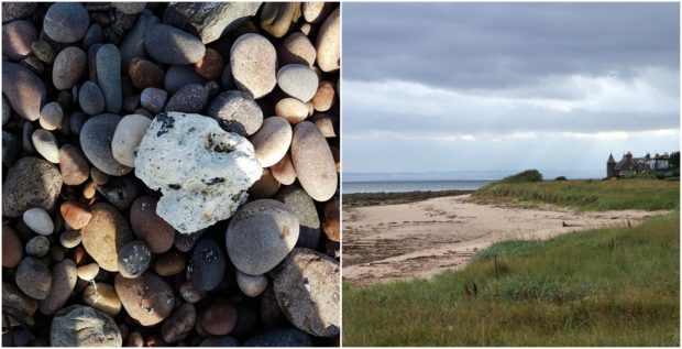 Some of the fat found on a local beach, left, and East Haven Beach, right.