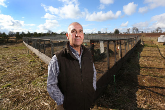 Jim Goodlad at the pheasant pens which were damaged.