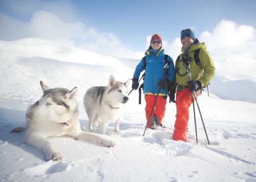 Sam and Paul Noble of the Scottish Avalanche Information Service and their huskies on Scottish Mountain rescue training day.


Photo by
Michael Traill      
9 South Road
Rhynie
Huntly
AB54 4GA

Contact numbers
Mob 07739 38 4792
Home 01464 861425