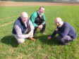 All eyes are now on the performance of the Banchory Farm field where every input is being measured and analysed.