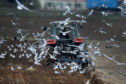 GOOLE, UNITED KINGDOM - MARCH 25:  Seagulls scavenge for food as a farmer ploughs his field in the East Yorkshire countryside on March 25, 2014 in Goole, United Kingdom.  (Photo by Christopher Furlong/Getty Images)
