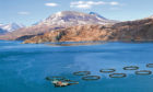 Ace Aquatec's systems are deployed at more than 200 fish farming sites